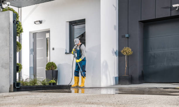 Best Animal Enclosure Cleaning  in Cherryville, NC